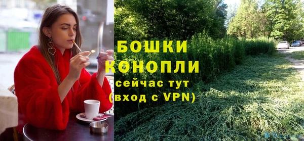 МДПВ Новозыбков