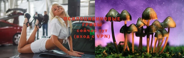 крисы Абдулино