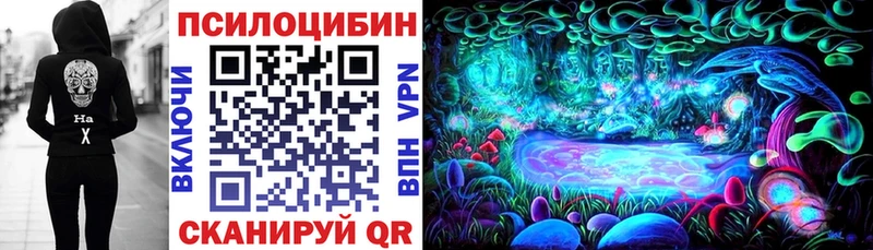kraken онион  Ясный  Псилоцибиновые грибы Cubensis 